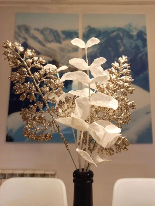 Bel Appartement Familial Et Cosy 圣热尔韦莱班 外观 照片